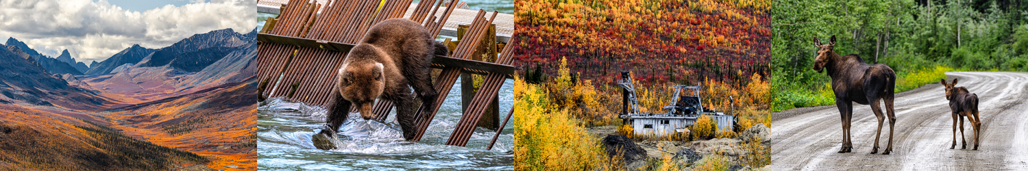 Yukon Alaska