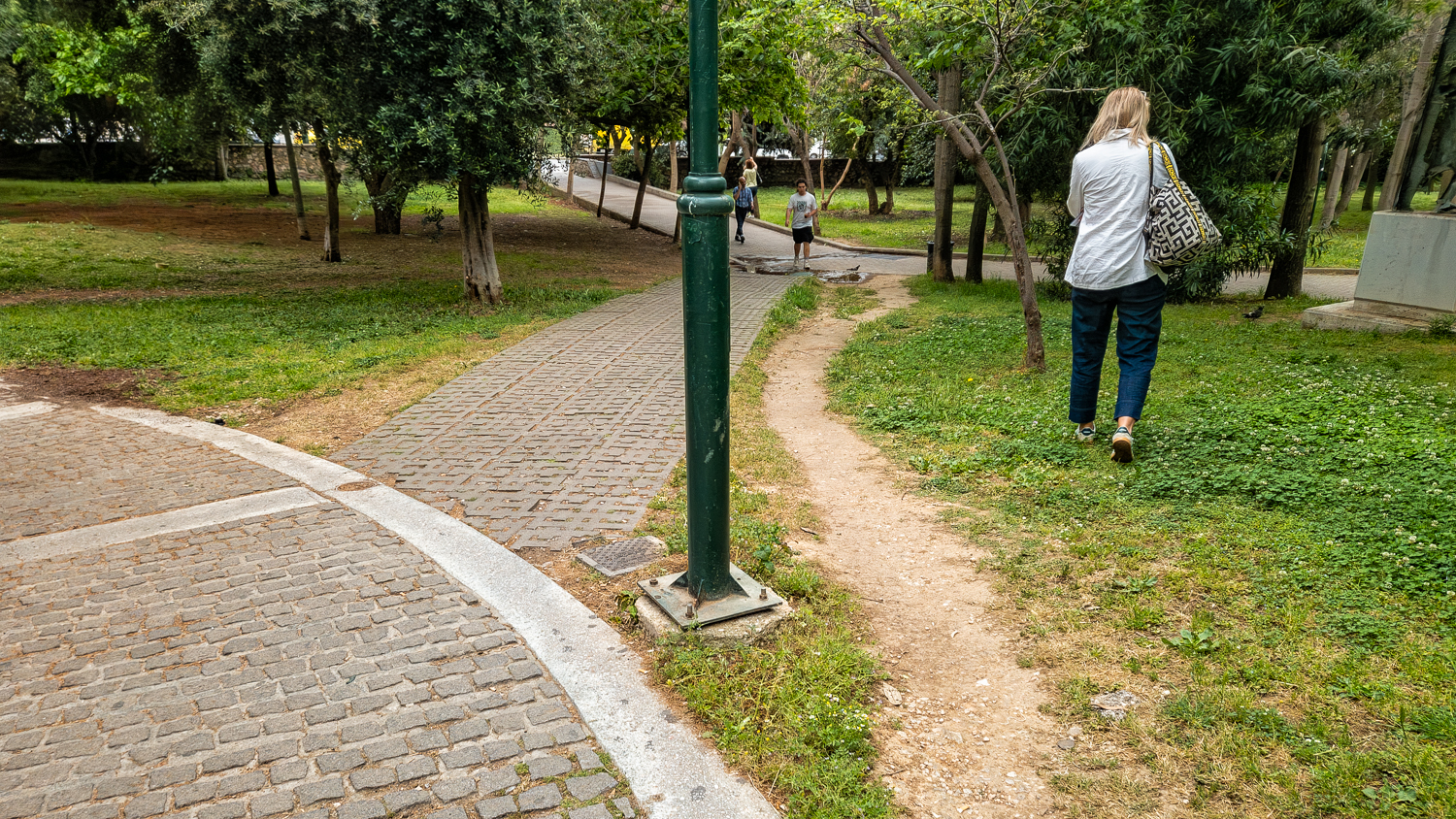 Athene: oliefantpad in groen park
