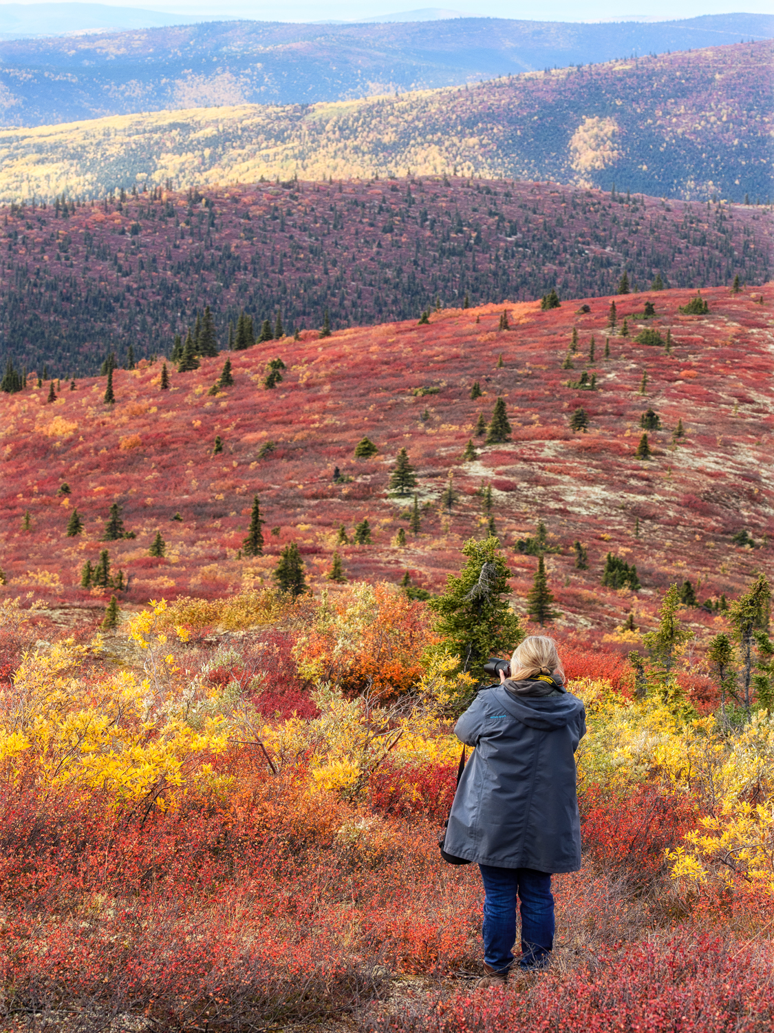 Vrouw fotografeert kleurrijk herfstlandschap