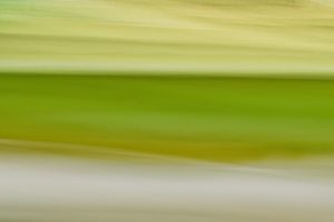 Creatieve fotografie | ontdek nieuwe technieken