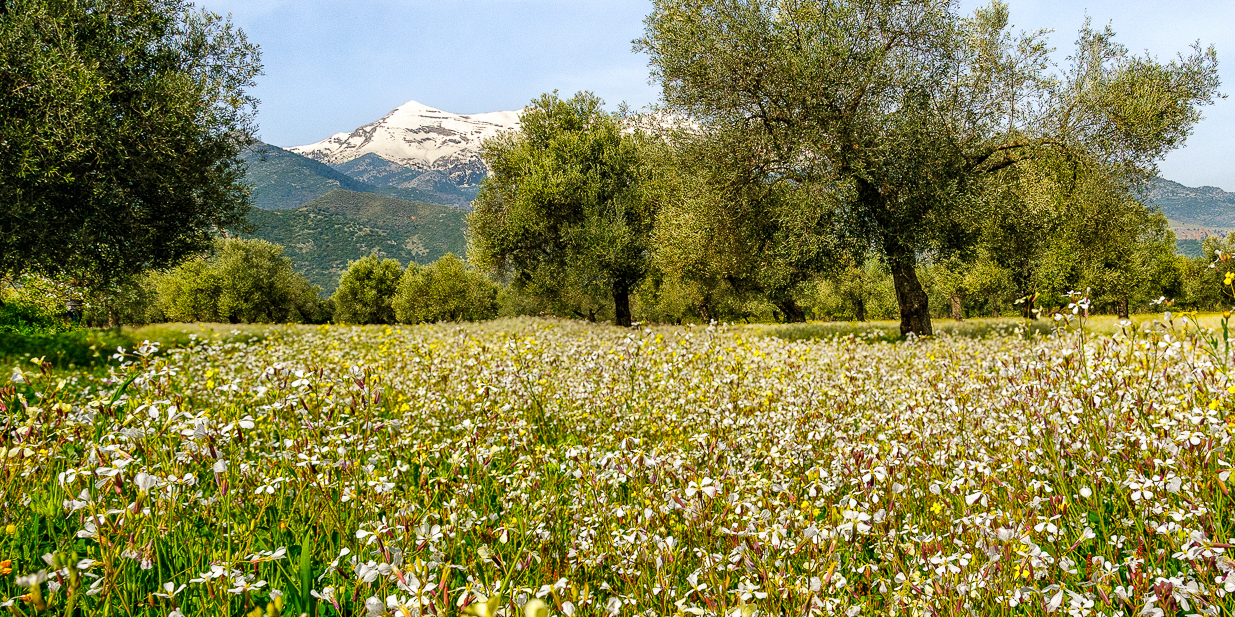Griekenland, fotoreis tussen de bloemen