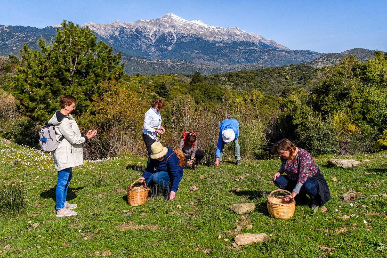 Kruidenexcursie vanuit Arna Lakonia