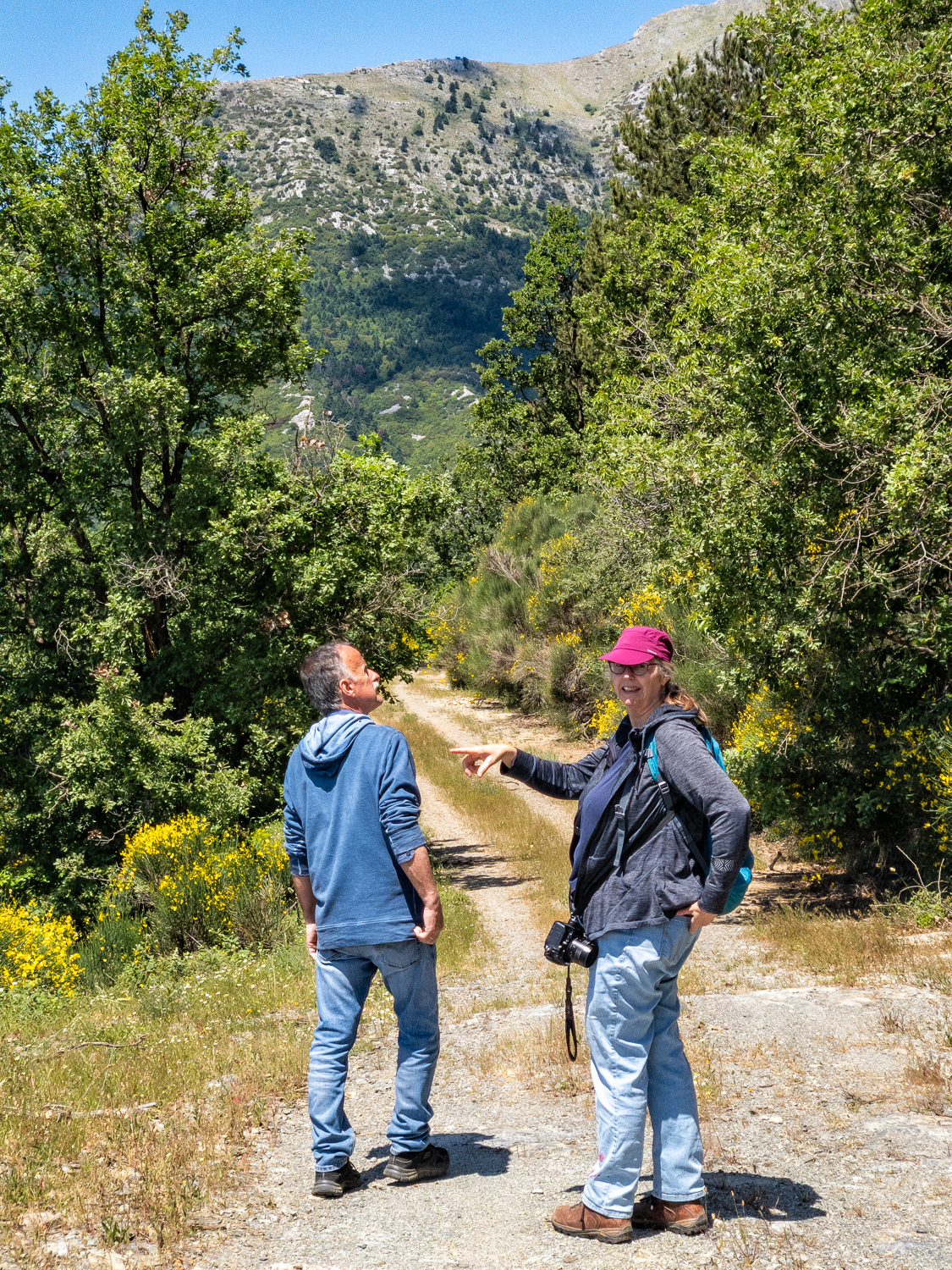 Kruidenexcursie Peloponnesos