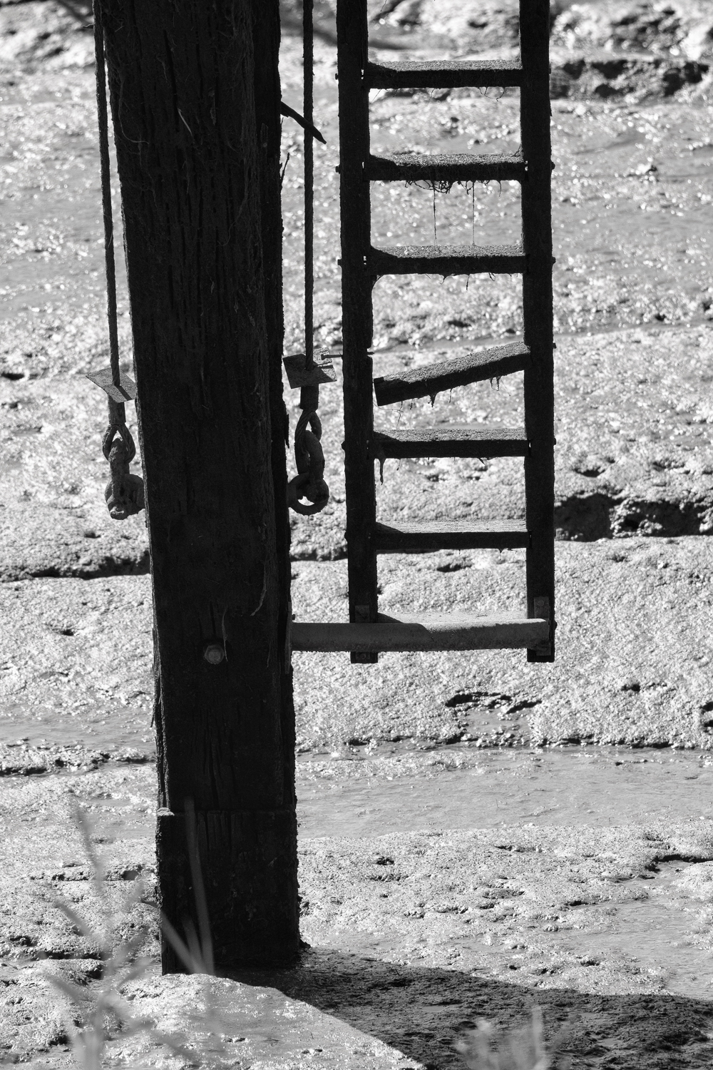 Fotoworkshop zwart-wit bij Paal