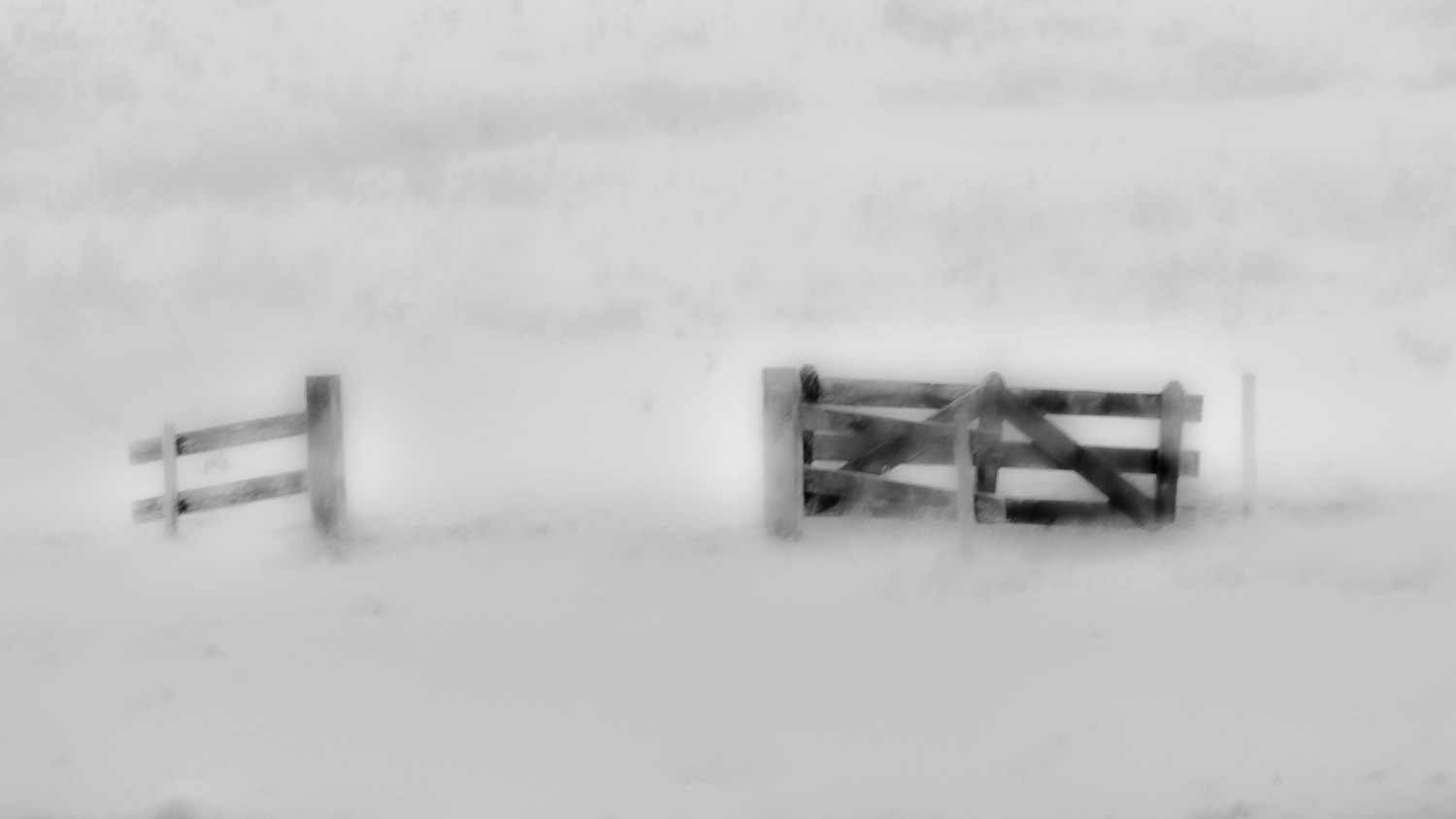 Fotoworkshop Monochroom, ook creatief