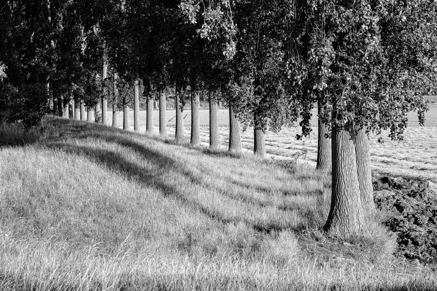 leren fotograferen in zwart-wit
