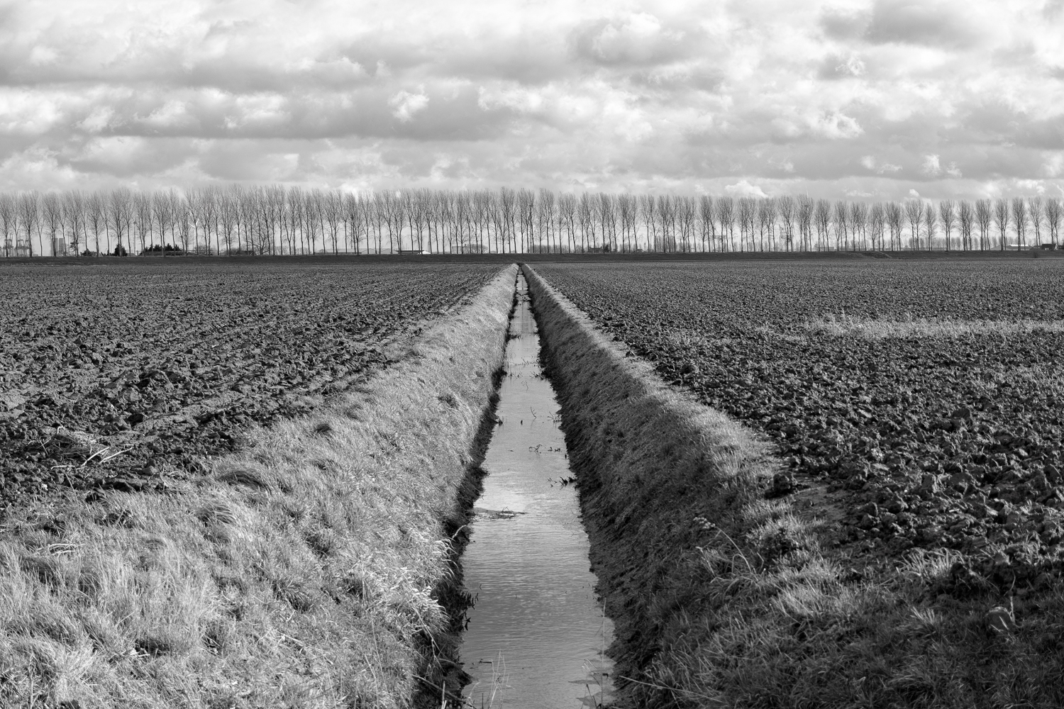 winterlandschap zwart-wit