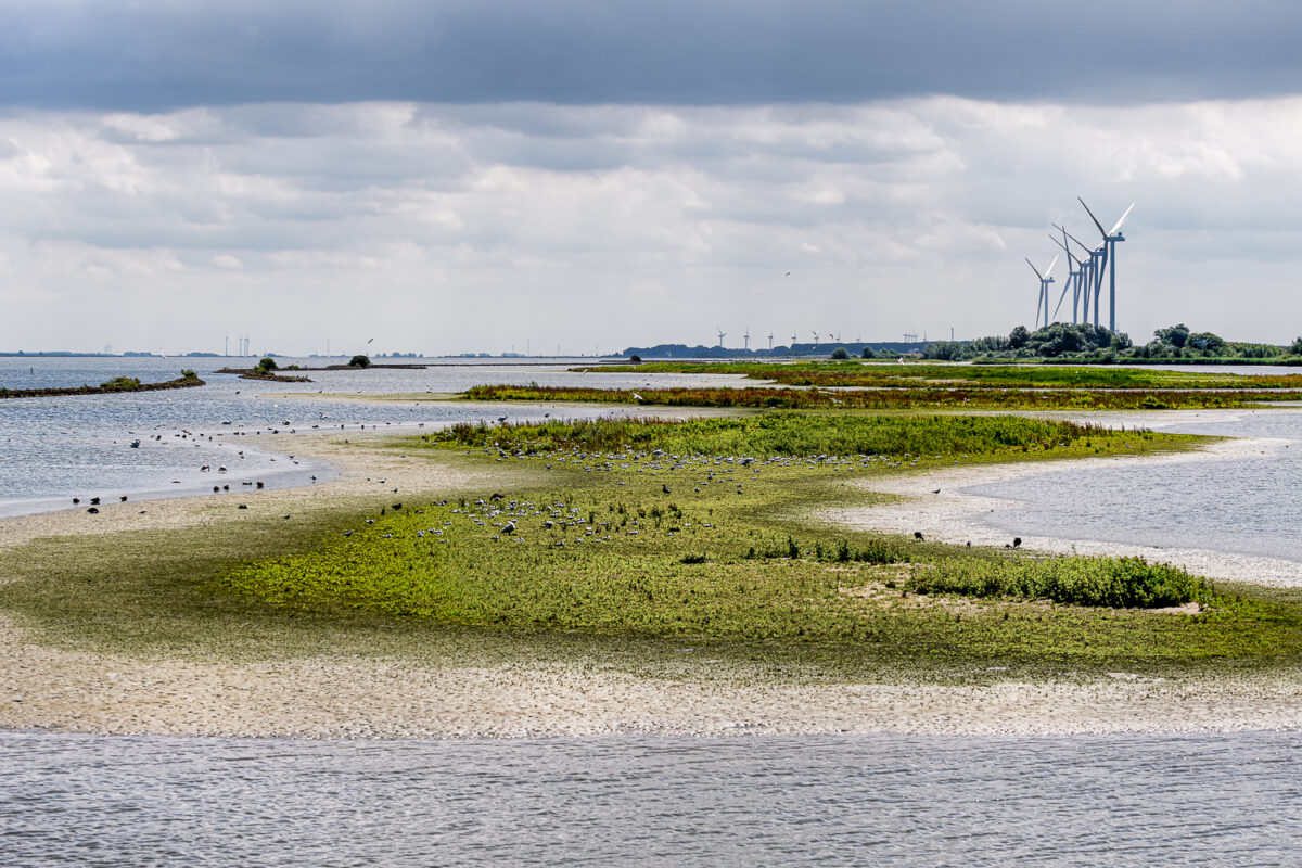Workshop landschapsfotografie Zeeland langs verschillende Deltawerken, waaronder de Haringvlietsluiten