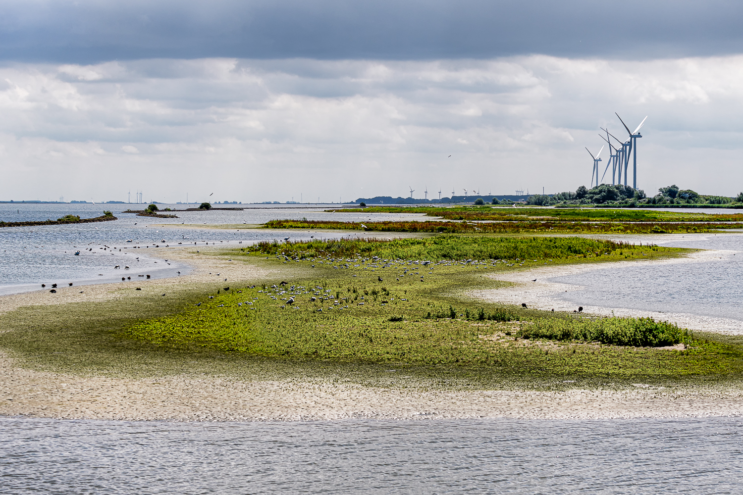 Workshop landschapsfotografie Zeeland & Deltawerken